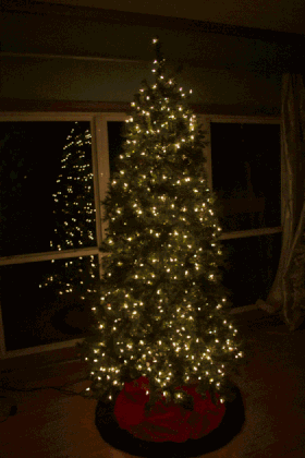 christmas-tree-core-smaller