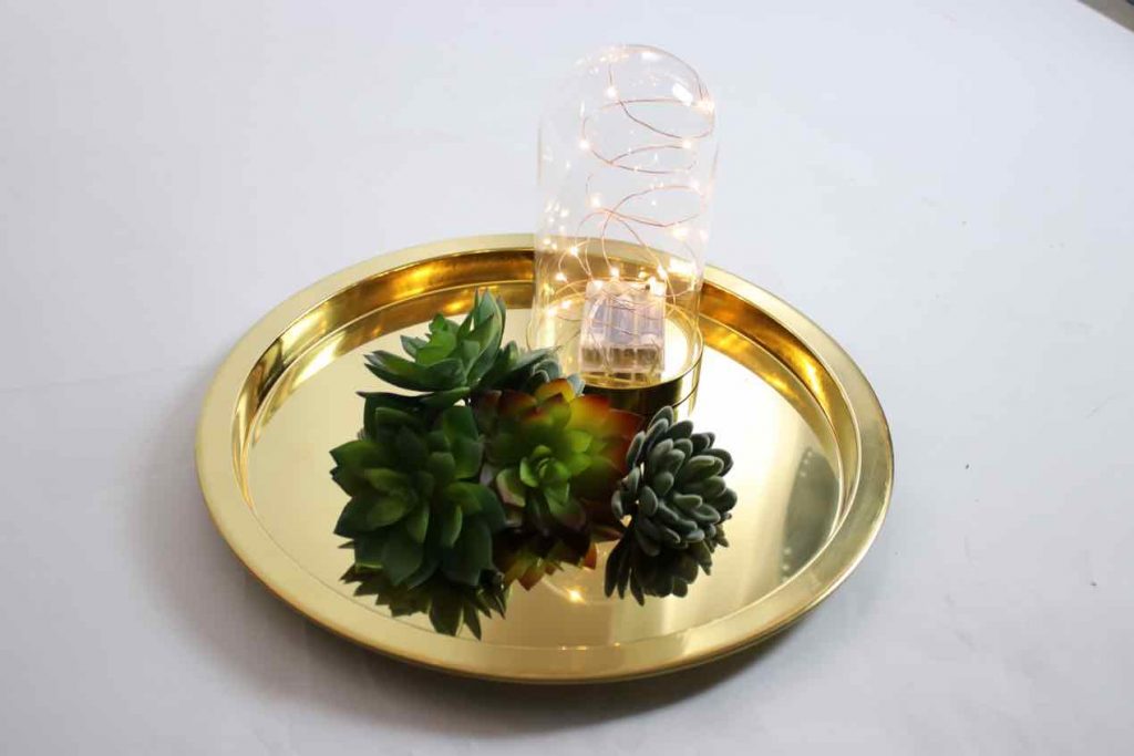Succulents, dome jar, a brass tray and battery lights!