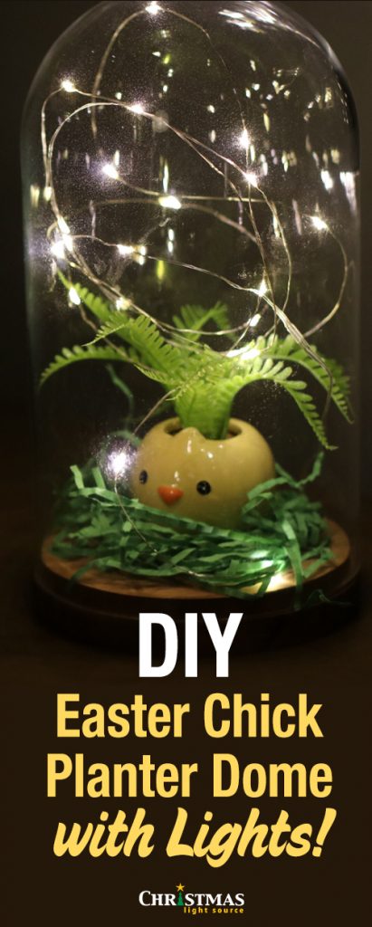 DIY: Easter Chick Planter Dome with Lights!