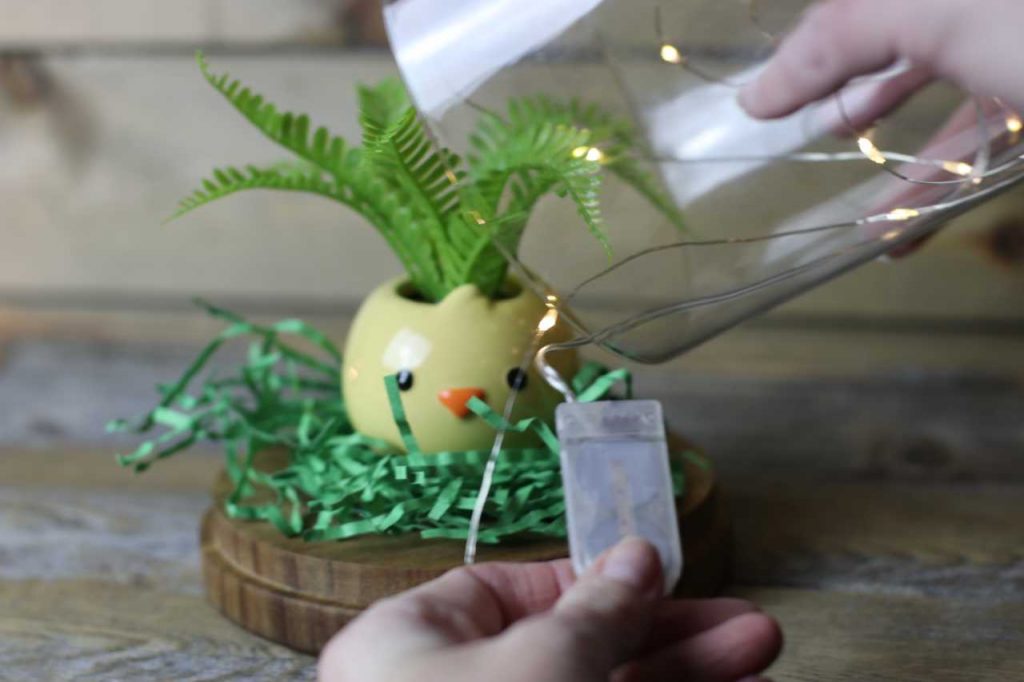 DIY: Easter Chick Planter Dome with Lights!