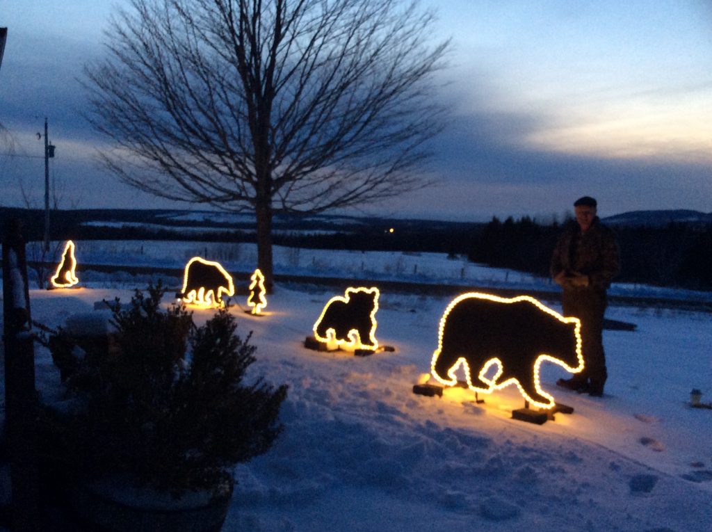 Christmas Lights spread joy in Nova Scotia