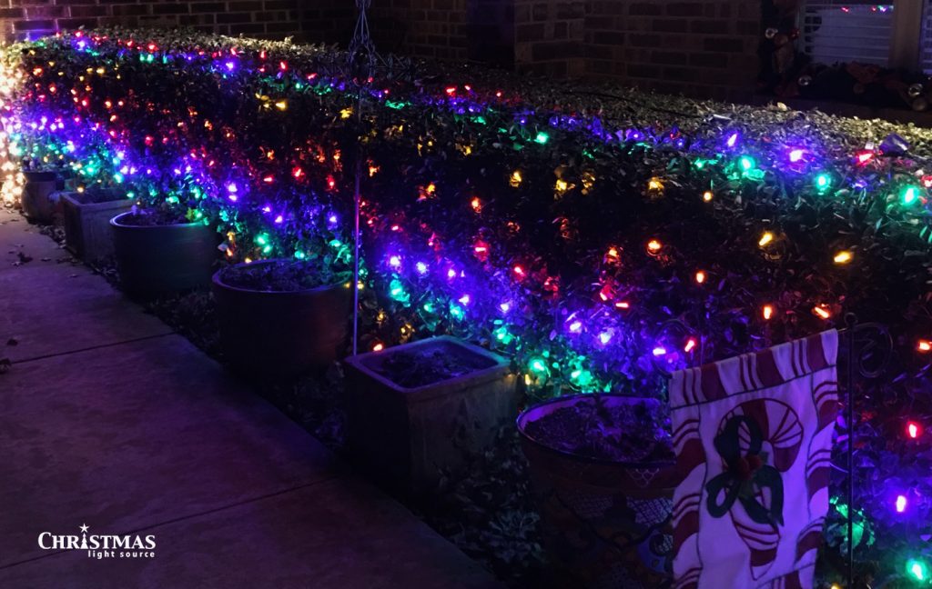 Get This Look: Karen's LED Multi-color LED Christmas lights!