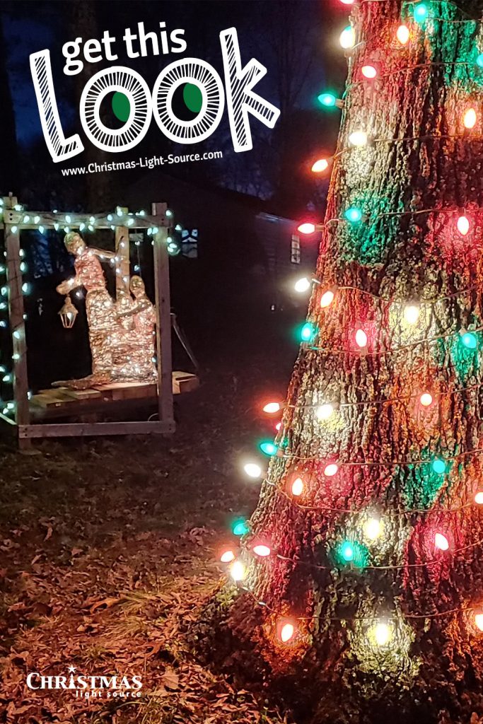 Get This Look: Wrapping Trees with Lights