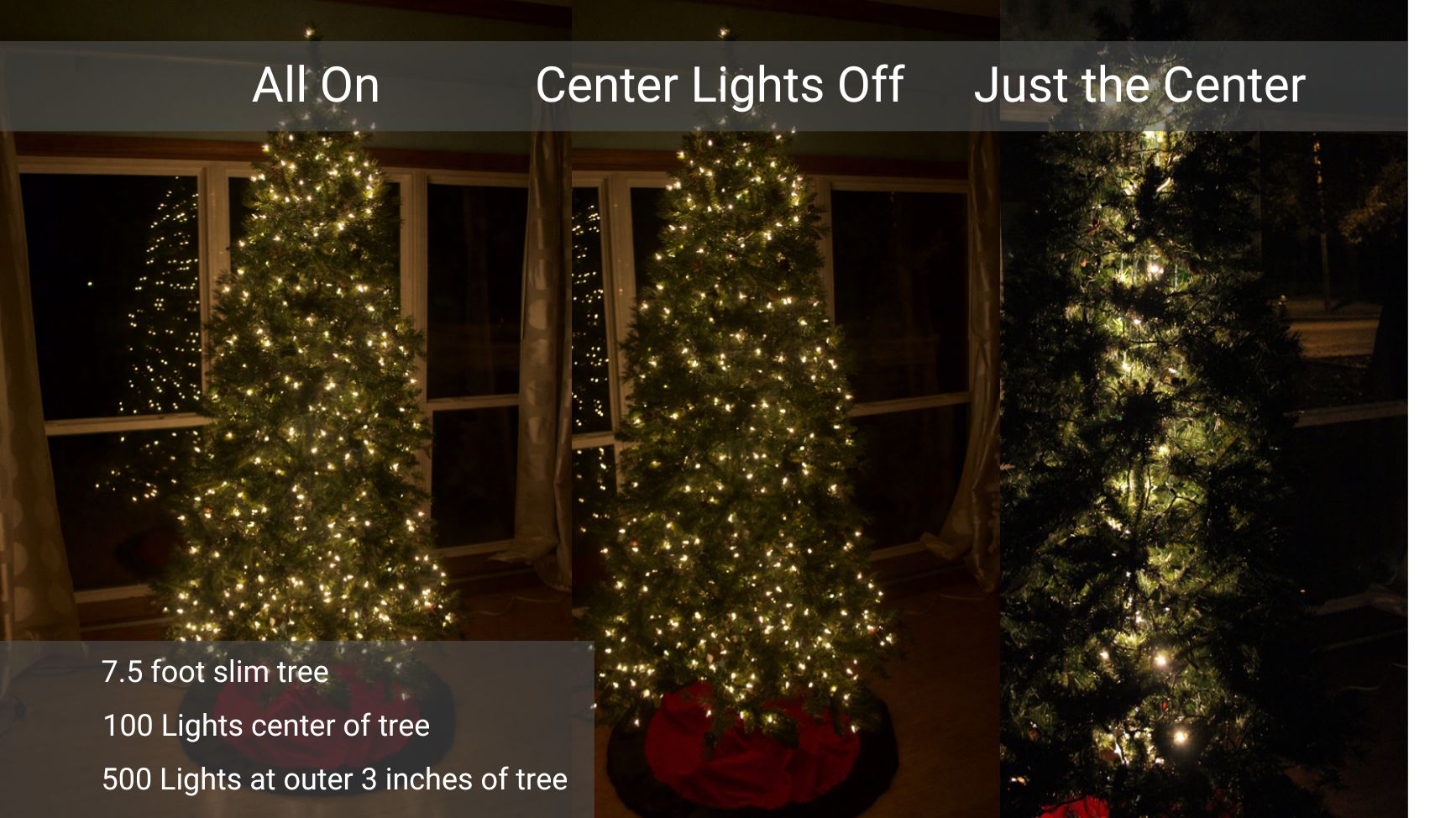 lit christmas trees